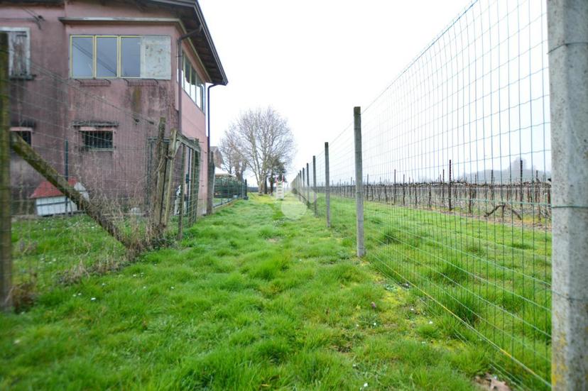 Casa indipendente in Via Argine S. Marco, San Donà di Piave — foto 4 di 5