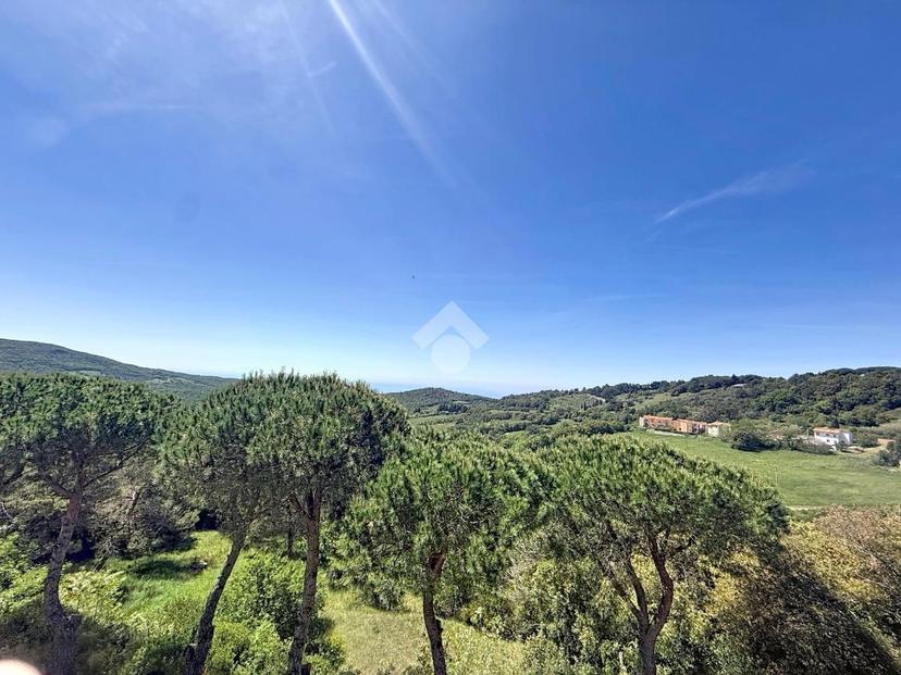 Trilocale in Via Giuseppe Cantini 9, Rosignano Marittimo — foto 3 di 5