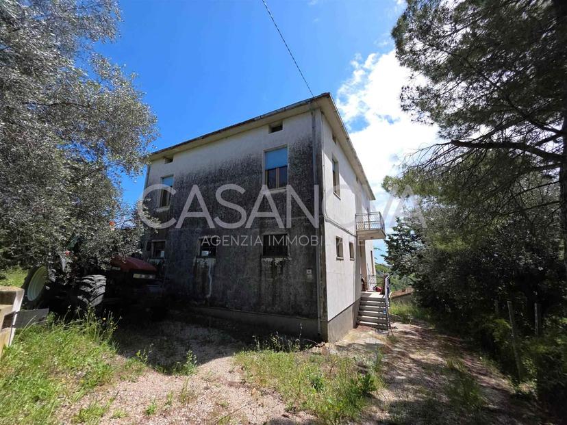 Rustico, Mosciano Sant'Angelo — foto 3 di 5