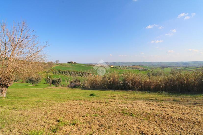 Rustico in Contrada Santa Croce 65, Recanati — foto 3 di 5