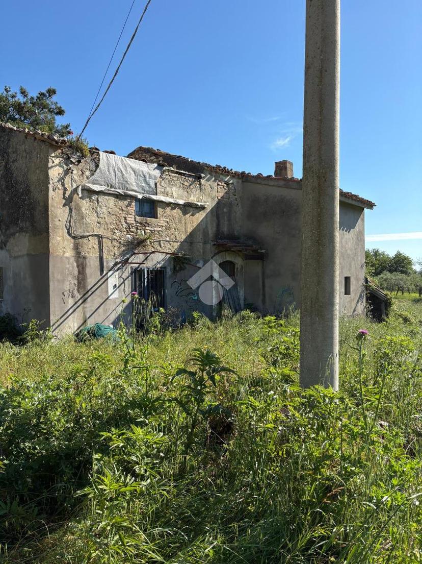 Casa indipendente in Strada Comunale degli Abati, Vicoli — foto 3 di 5
