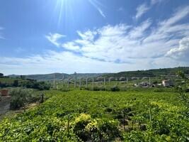 Rustico in Via 1, Soave — foto 2 di 5