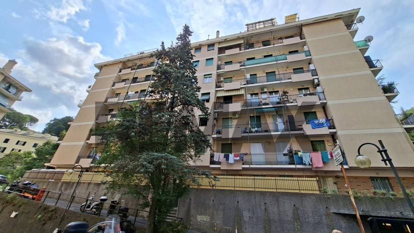 Quadrilocale in Via Ammarengo 7, Genova
