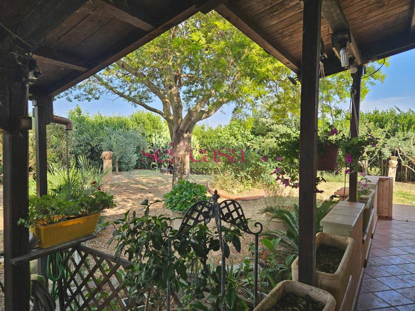 Rustico in Barbaruta, Grosseto — foto 2 di 5