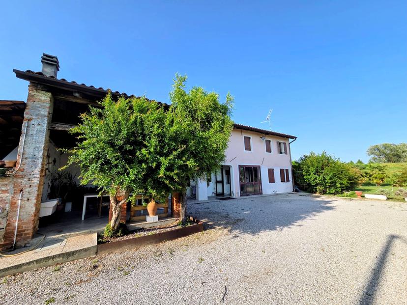 Rustico, Motta di Livenza