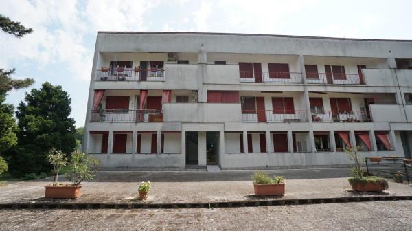 Trilocale in Via San Giorgio, Cassolnovo — foto 5 di 5