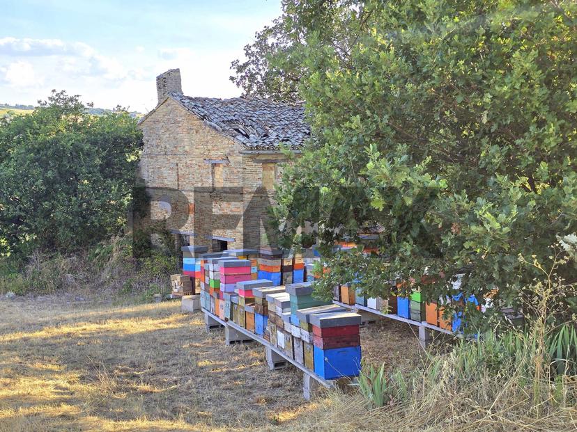 Rustico, Potenza Picena — foto 4 di 5