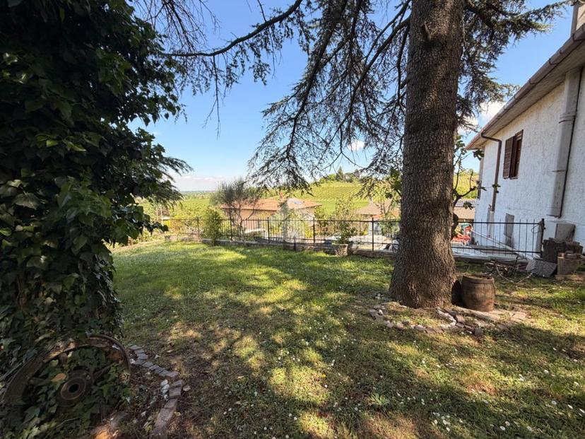 Villa in Strada Virgo Pottens, Tortona — foto 3 di 5