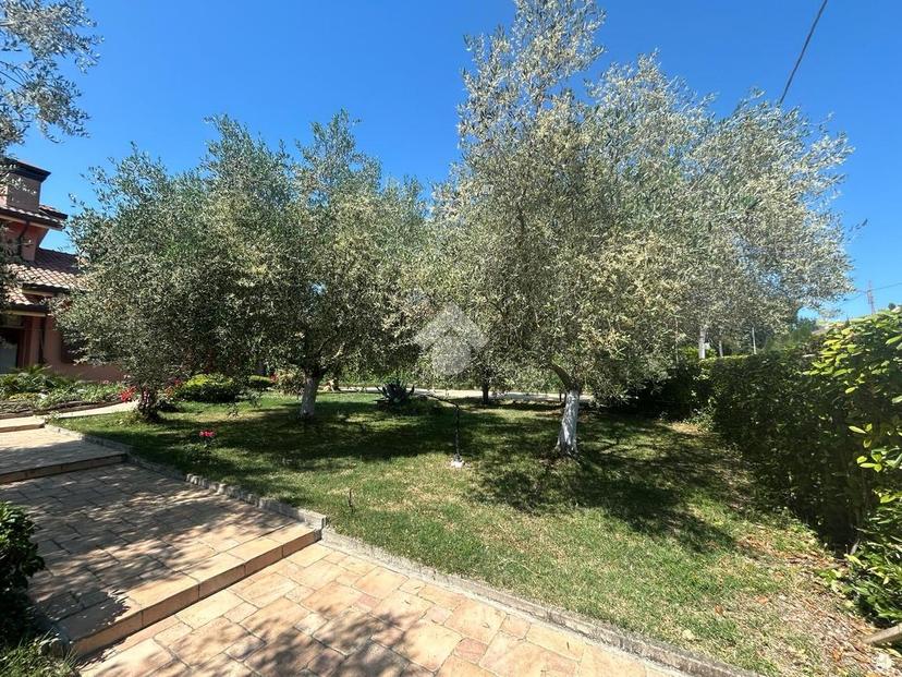 Villa in Via Mar Jonio 21, Bellaria-Igea Marina — foto 5 di 5