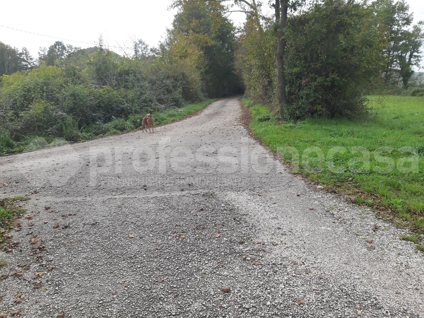 Masseria in Località Civitavecchia 1, San Pietro Avellana