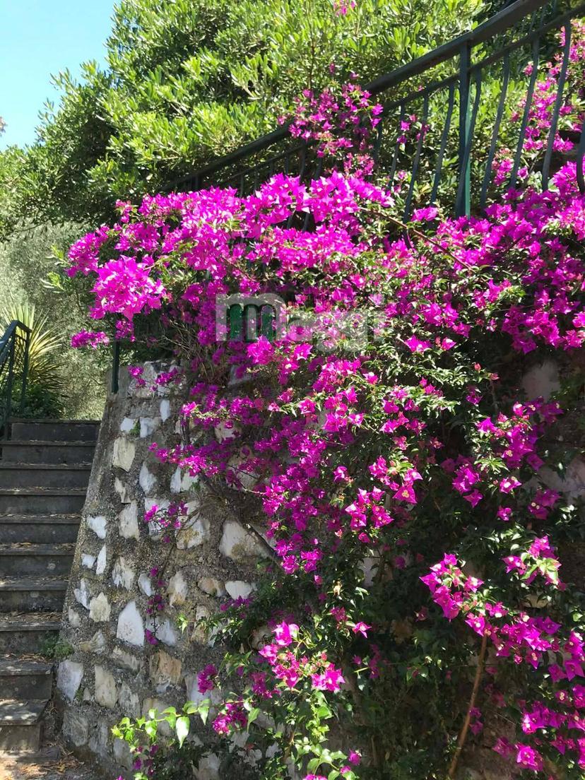 Villa in Via Tigula, Lavagna — foto 5 di 5