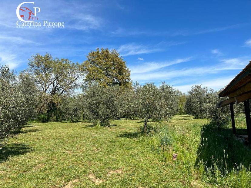 Villa in Strada Provinciale Collacchia Snc, Gavorrano — foto 5 di 5