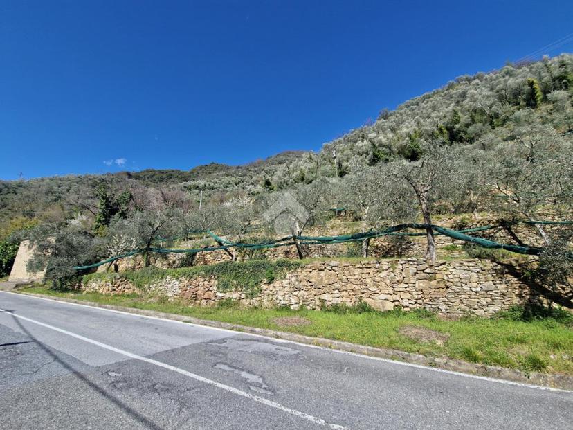 Villa in Localita' Progallo, Montalto Carpasio — foto 4 di 5