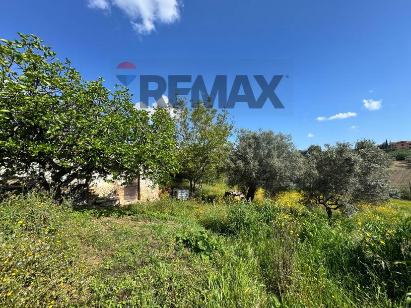 Rustico in C.da Rosciavizza, Mozzagrogna — foto 3 di 5