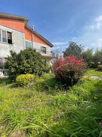 Villa, Pojana Maggiore — foto 3 di 5