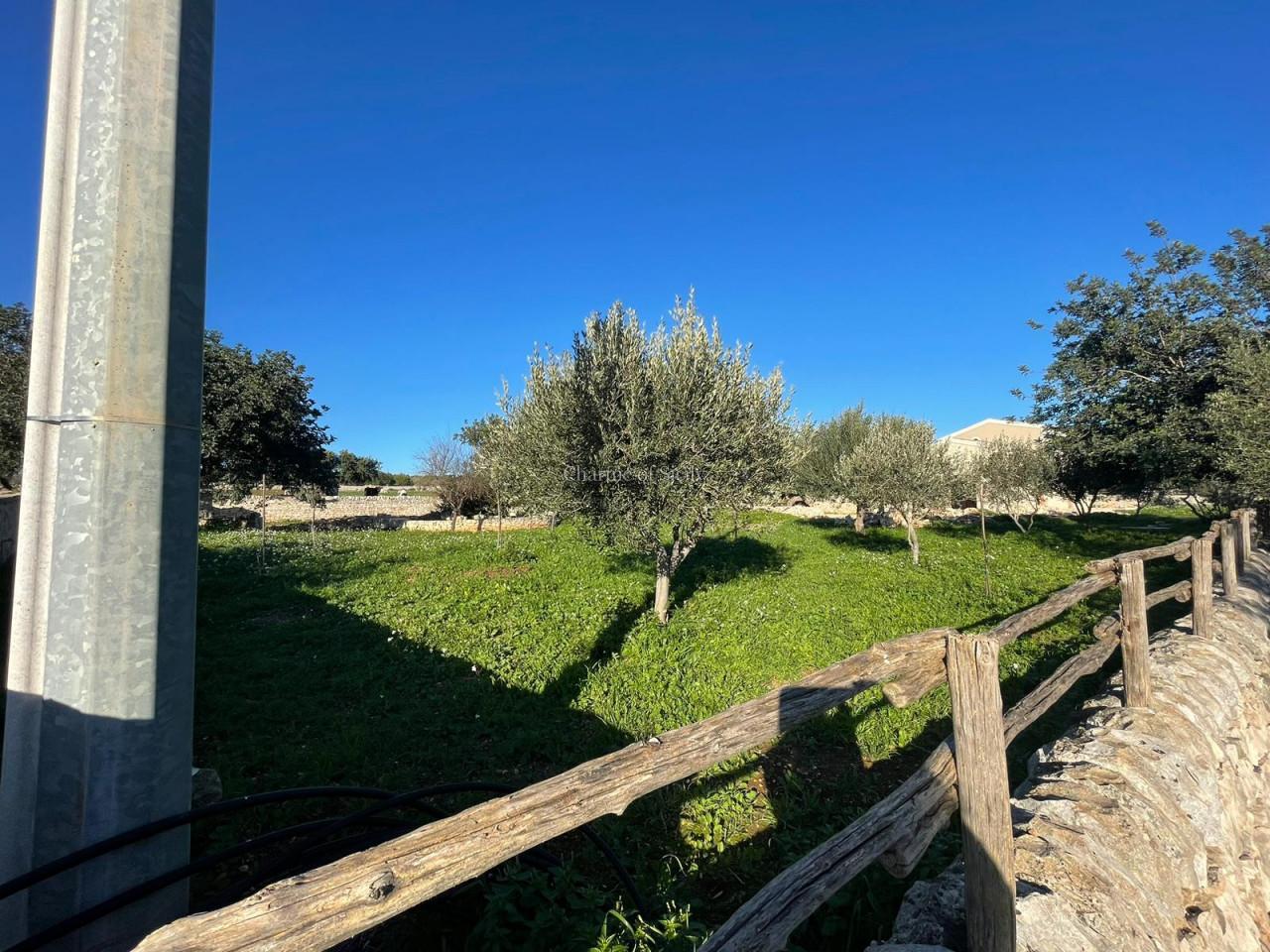 Casa indipendente, Scicli