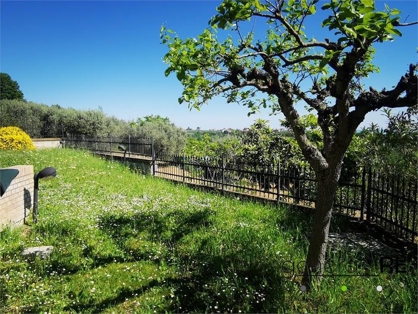 Villa, Torrevecchia Teatina — foto 4 di 5