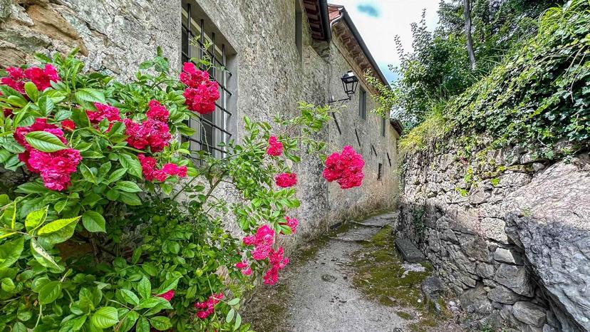Rustico in Strada Provinciale, Pescaglia — foto 4 di 5