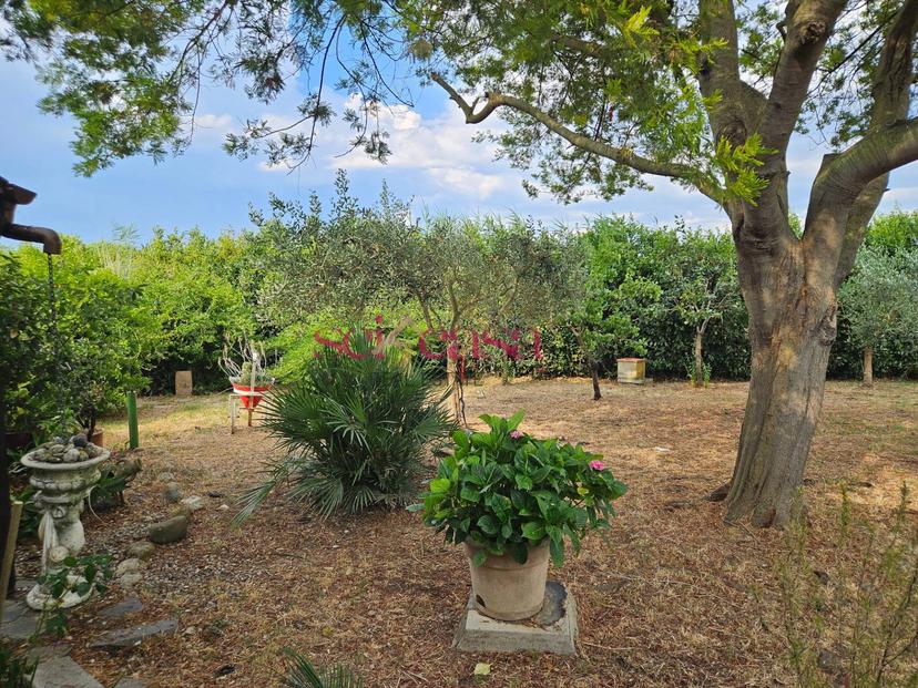 Rustico in Barbaruta, Grosseto — foto 3 di 5