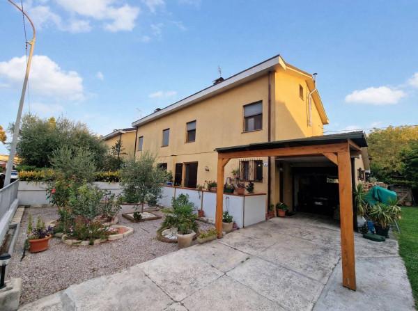 Villa a schiera, Medolla