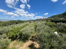 Villa in Contrada Conche, Miglionico