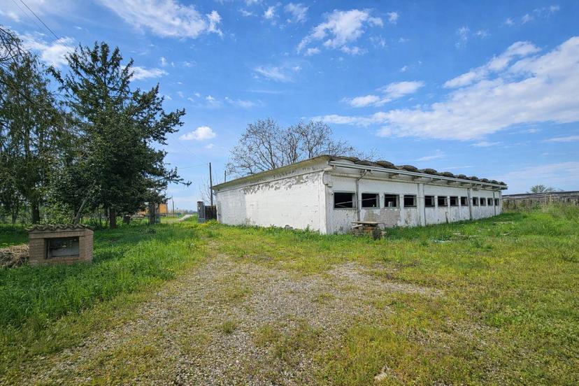 Villa, Concordia sulla Secchia — foto 2 di 5