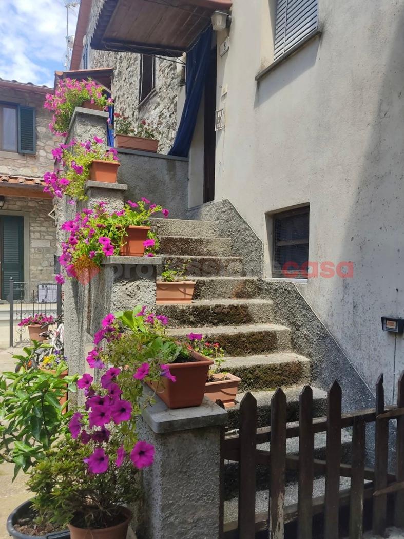 Terratetto unifamiliare in Piazza Pietro Barsanti 8, Borgo a Mozzano — foto 2 di 5