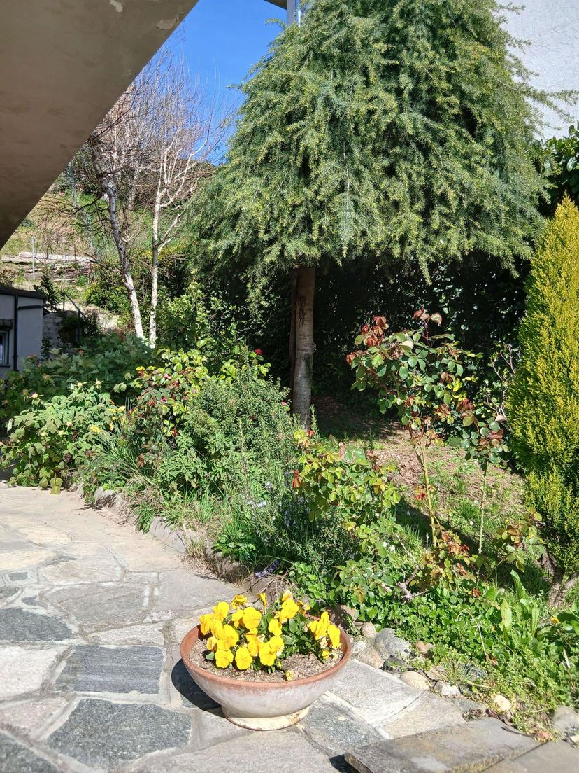 Villa bifamiliare in Via Panza 15, San Salvatore Monferrato — foto 5 di 5