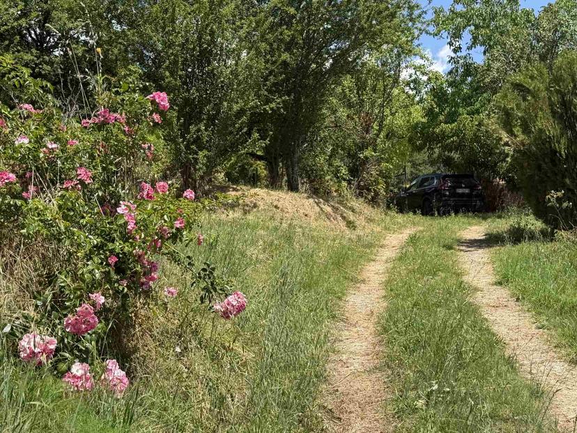 Casa indipendente in Poggiolino, Castel San Niccolò — foto 2 di 5