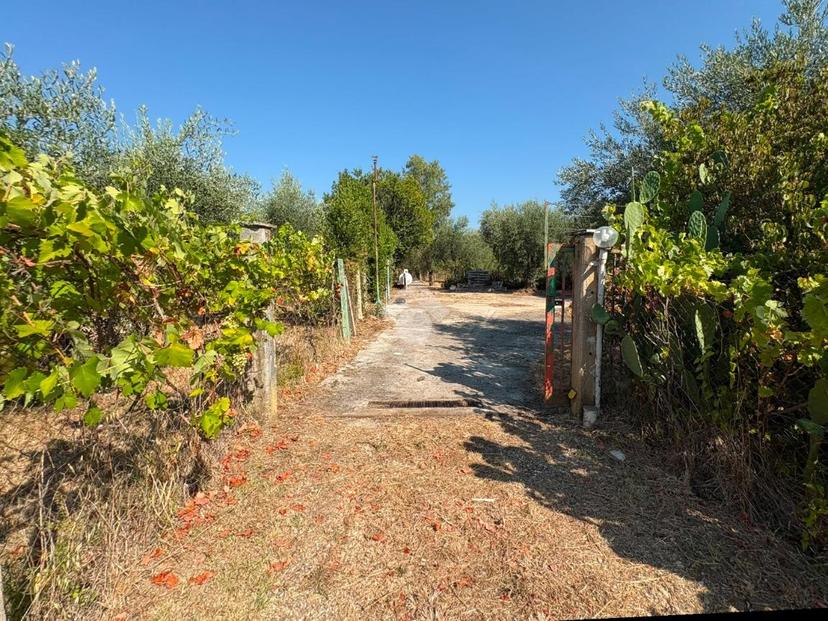 Rustico in V. delle Vigne, Sermoneta — foto 5 di 5