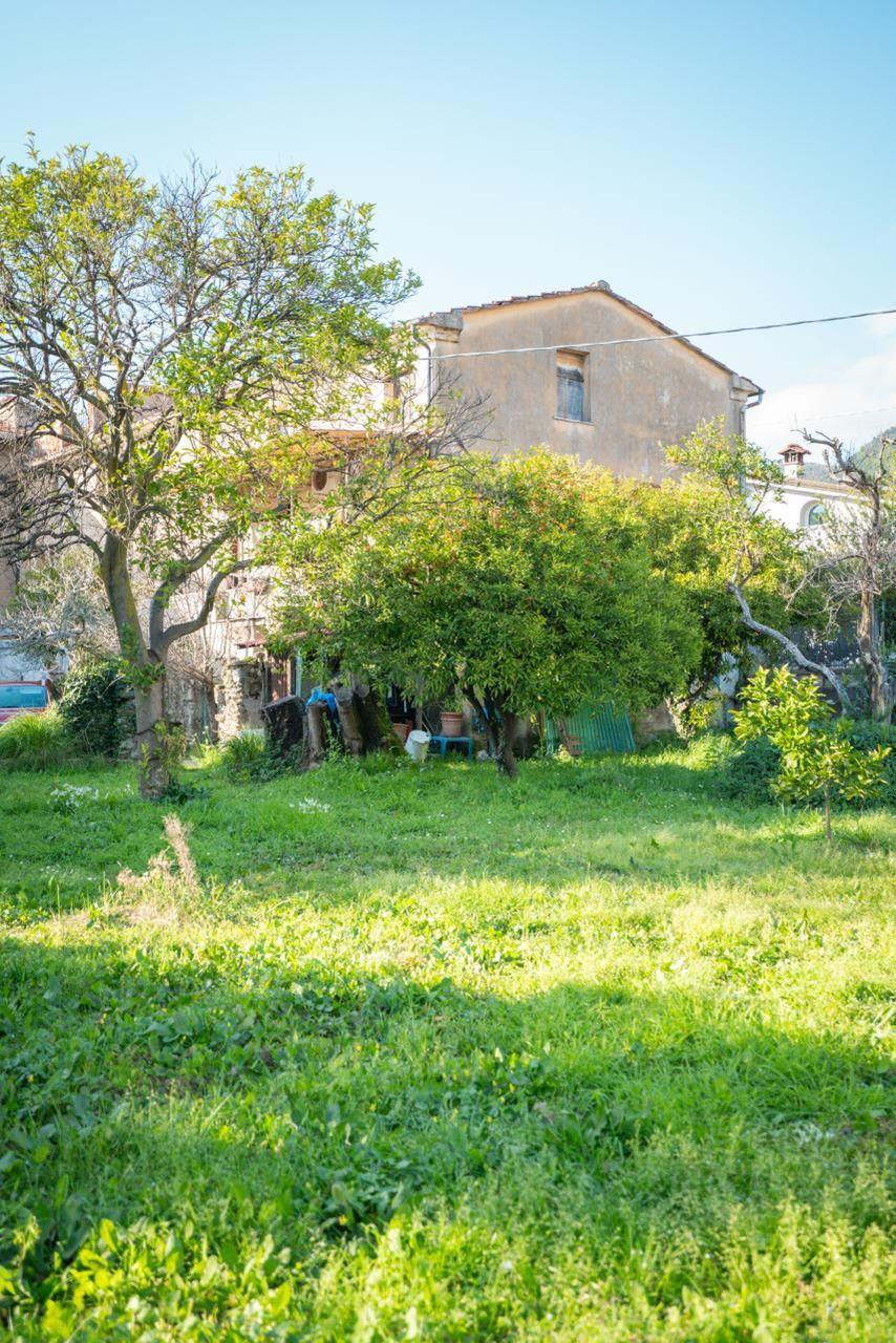 Casale in Castagnola di Sotto, Massa