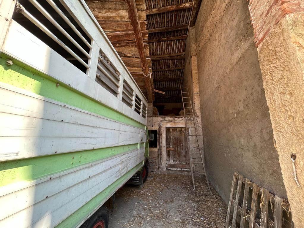 Rustico, Trissino