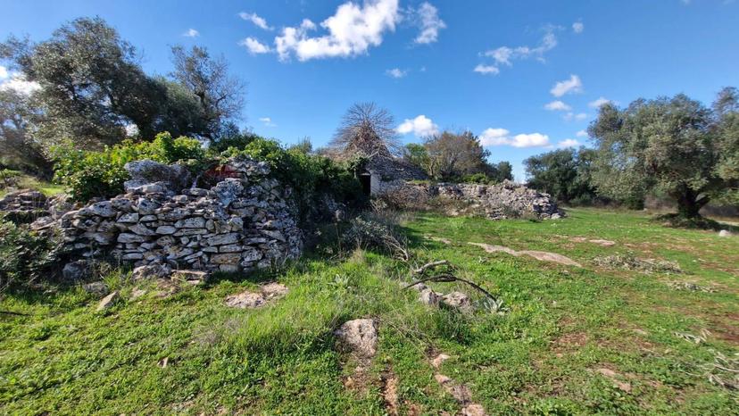Abitazione tipica in Contrada Fedele Grande Snc, Ceglie Messapica — foto 3 di 5