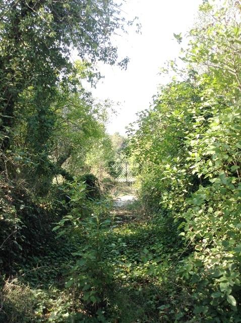 Villa in Via Francigena 72, Gallicano nel Lazio — foto 2 di 5