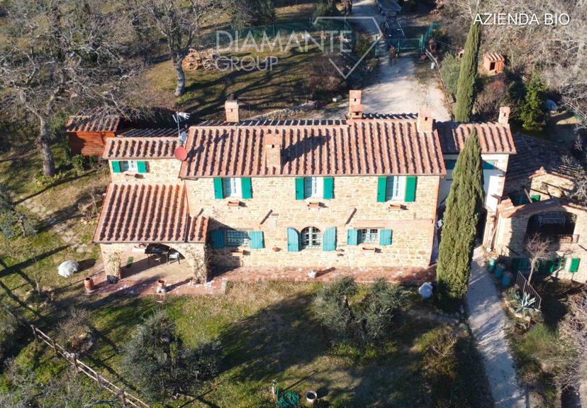 Casa colonica, Città della Pieve — foto 5 di 5