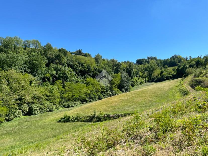 Rustico in Regione Chiesa, Cassinasco — foto 3 di 5
