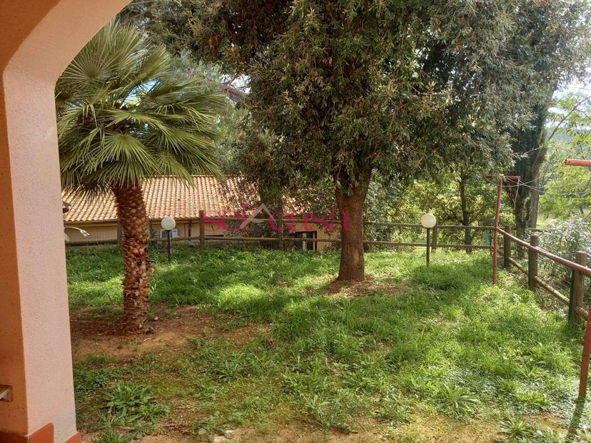 Villa in Cupi, Magliano in Toscana — foto 4 di 5