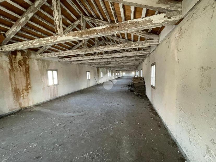 Rustico in Via Stazione Rossano 25, Rossano Veneto — foto 4 di 5