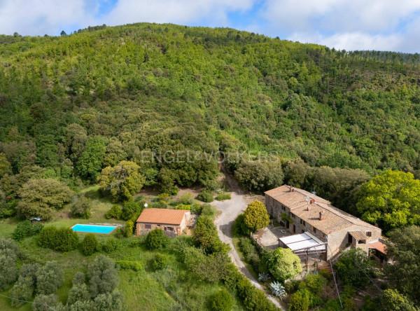 Casale in Strada Provinciale Meleta, Roccastrada — foto 2 di 5