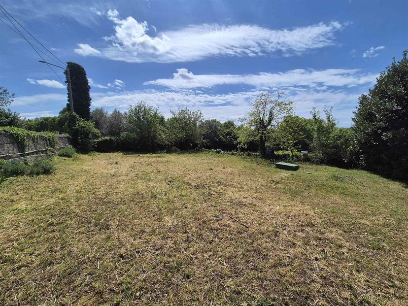 Casa indipendente in Località Sales, Sgonico — foto 5 di 5