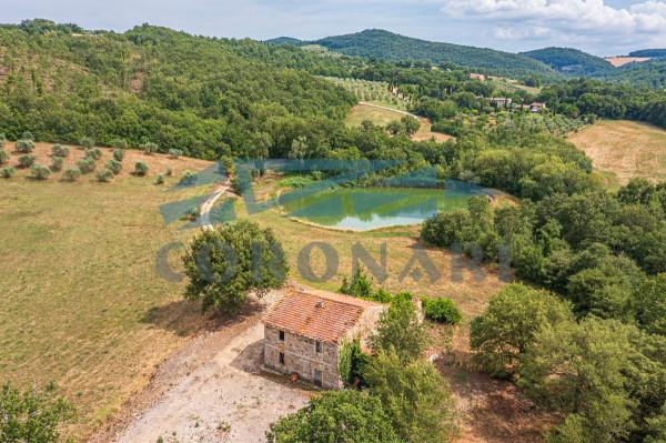 Casale in Vocabolo Poggi-Izzalini, Todi — foto 3 di 5