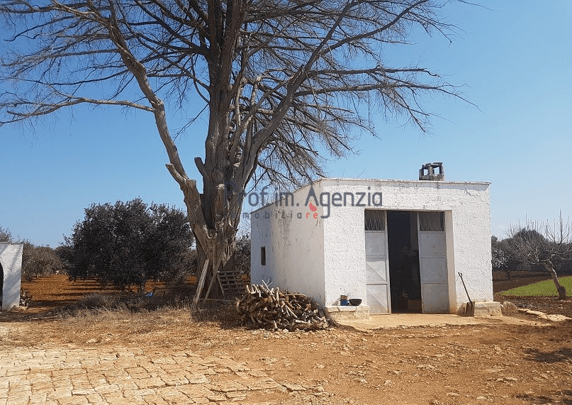 Casale, Ceglie Messapica — foto 4 di 5