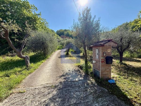 Villa, San Vito Chietino