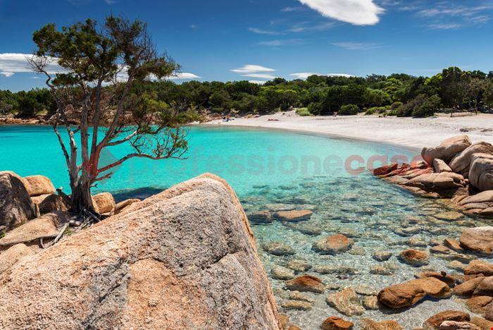 Trilocale in Via l'Aquila 88, Santa Teresa Gallura — foto 3 di 5