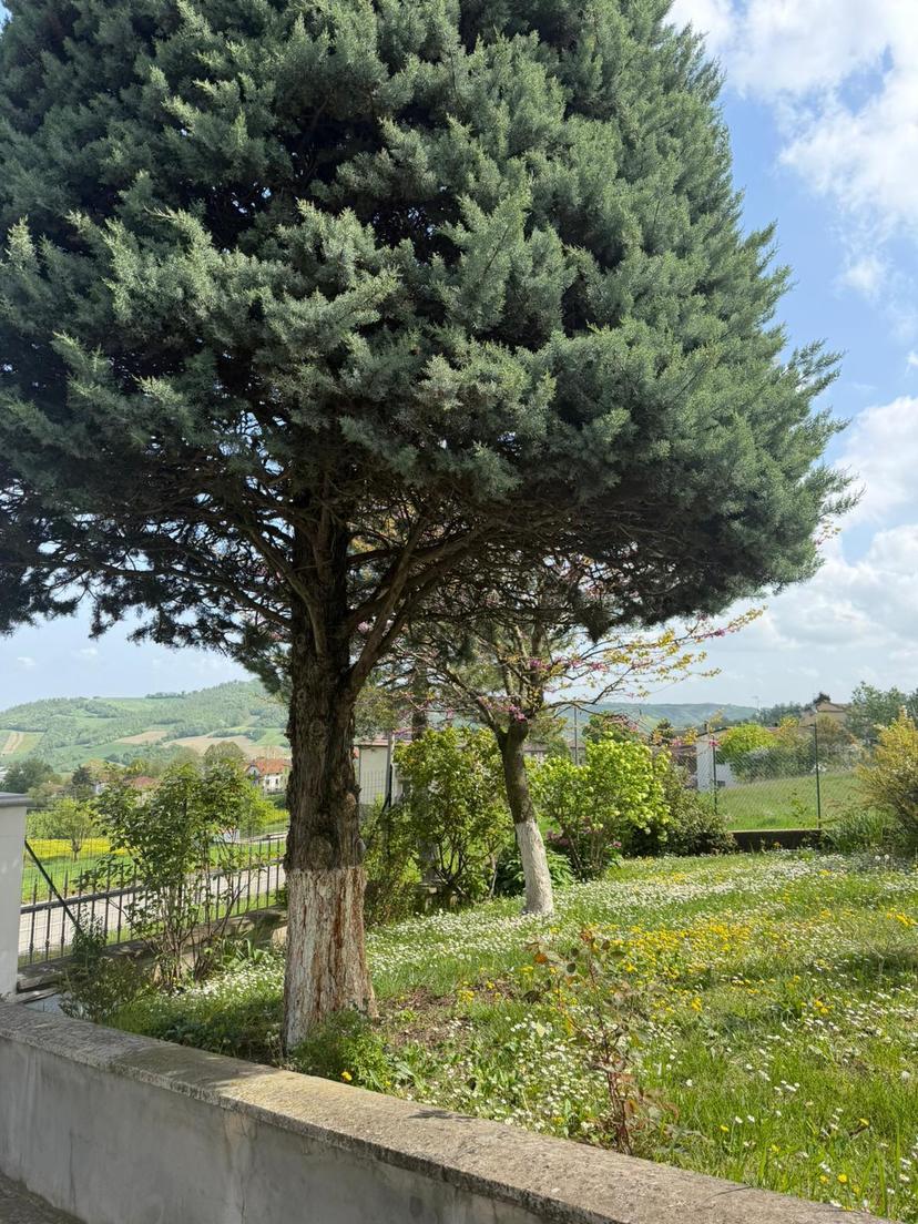 Villa a schiera, Fornovo di Taro — foto 5 di 5