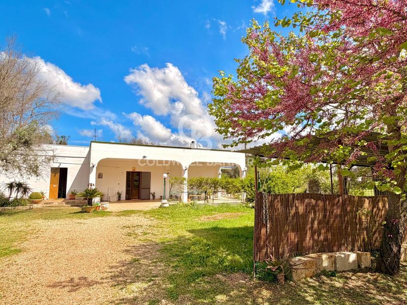 Villa in Contrada Campi Snc, San Vito dei Normanni — foto 4 di 5