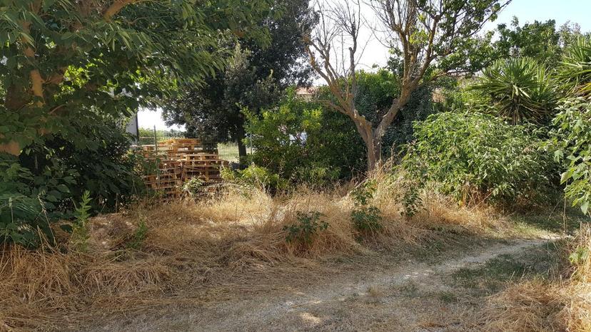 Rustico, Piombino — foto 5 di 5