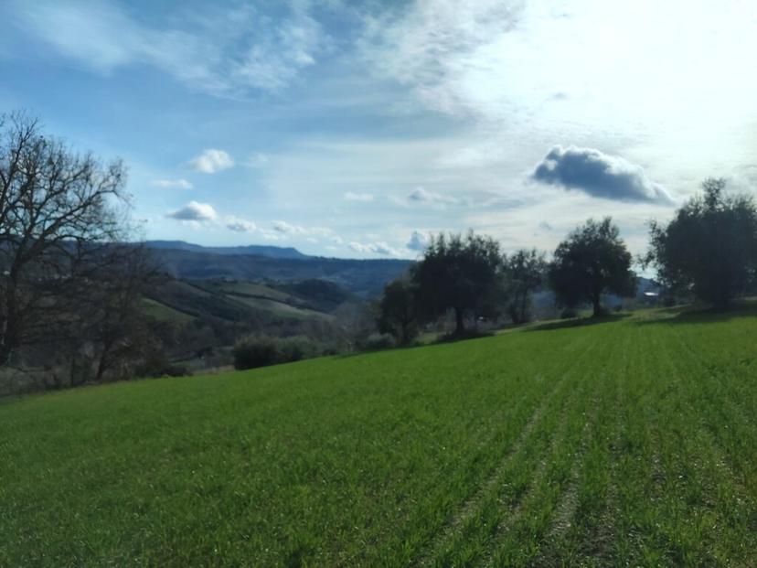 Casa indipendente in Contrada Paganelli 1, Petritoli — foto 2 di 5