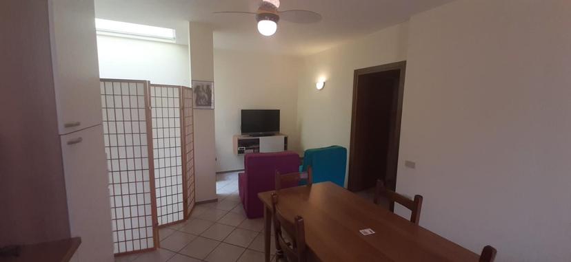 Bilocale, Rosignano Marittimo — foto 4 di 5