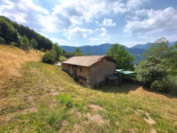 Rustico, Pertica Bassa — foto 4 di 5